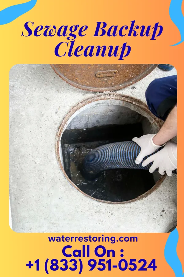 Sewage Backup Cleanup in Napoleonville, LA